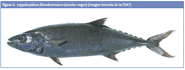 Figura 2. Lepydocybium flavobrunneum (escolar negro) (imagen tomada de la FDA)