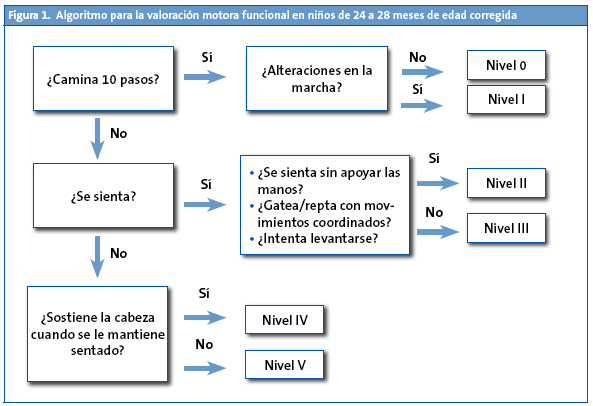 Figura 1. Algoritmo para la valoración motora funcional en niños de 24 a 28 meses de edad corregida
