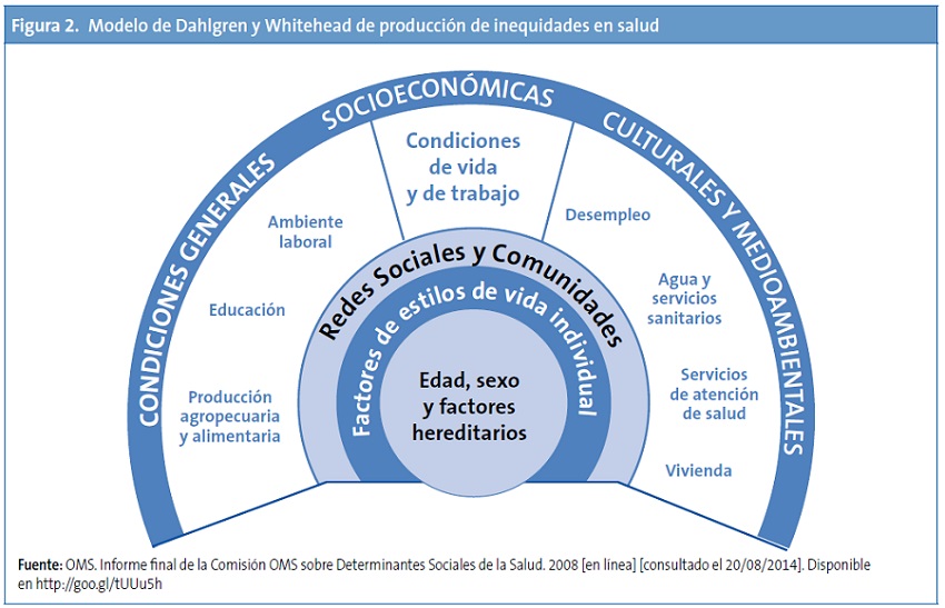 Figura 2. Modelo de Dahlgren y Whitehead de producción de inequidades en salud