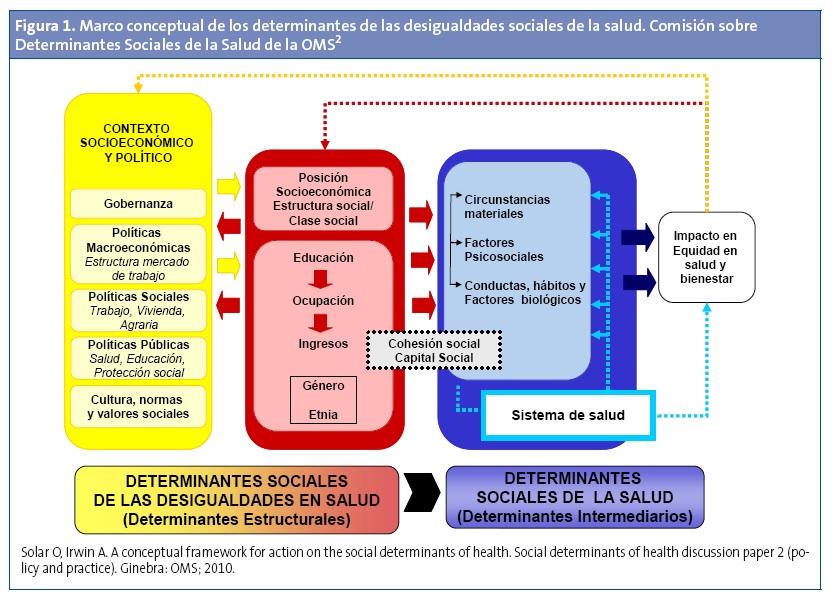 Figura 1. Marco conceptual de los determinantes de las desigualdades sociales de la salud. Comisión sobre Determinantes Sociales de la Salud de la OMS