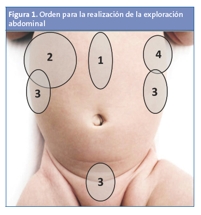 Figura 1. Orden para la realización de la exploración abdominal.