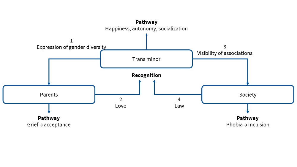 Figure 1. Summary of the relationships that emerged in interviews between trans minors, their parents and society