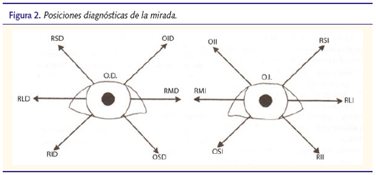 Figura 2. Posiciones diagnósticas de la mirada